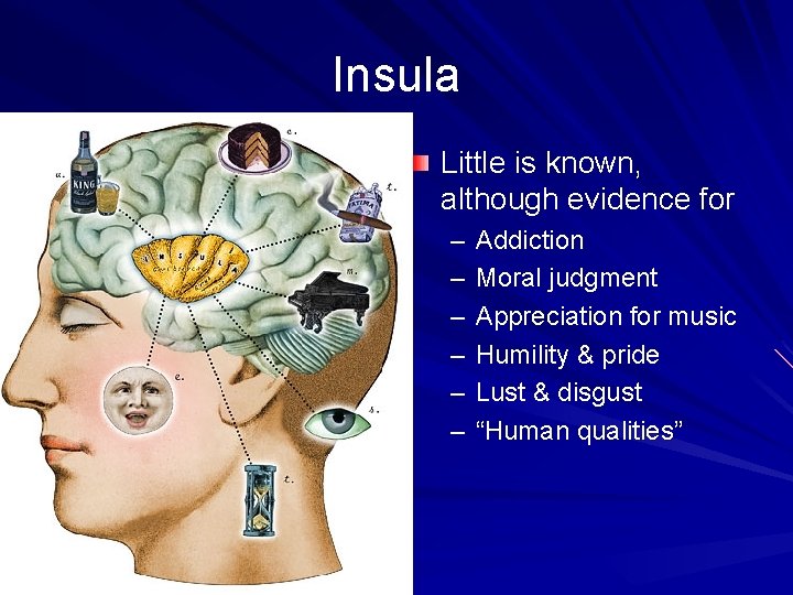 Insula Little is known, although evidence for – – – Addiction Moral judgment Appreciation