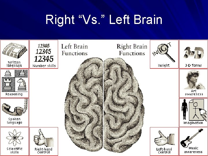 Right “Vs. ” Left Brain 