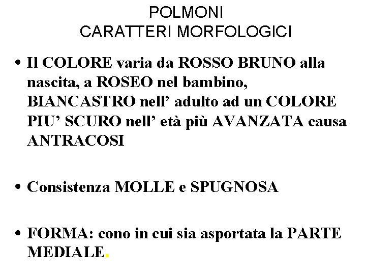 POLMONI CARATTERI MORFOLOGICI • Il COLORE varia da ROSSO BRUNO alla nascita, a ROSEO