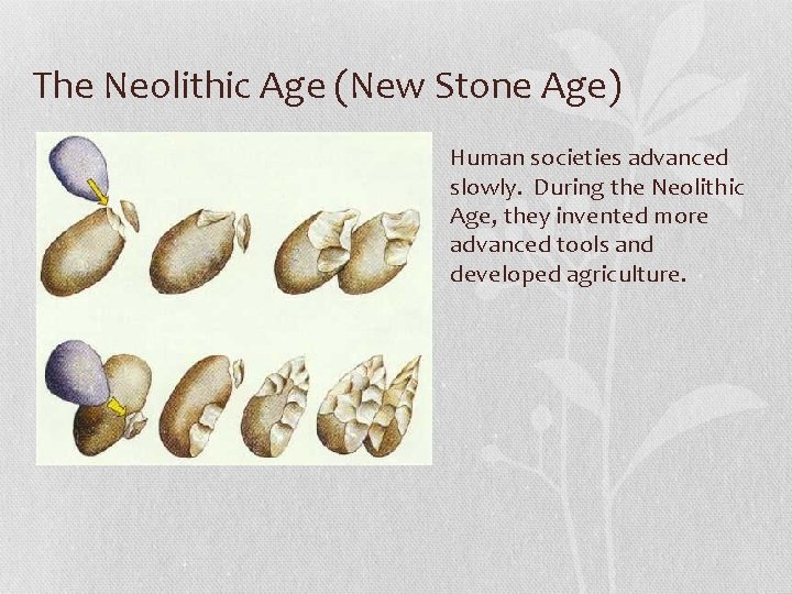 The Neolithic Age (New Stone Age) Human societies advanced slowly. During the Neolithic Age,
