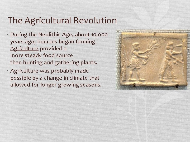 The Agricultural Revolution • During the Neolithic Age, about 10, 000 years ago, humans