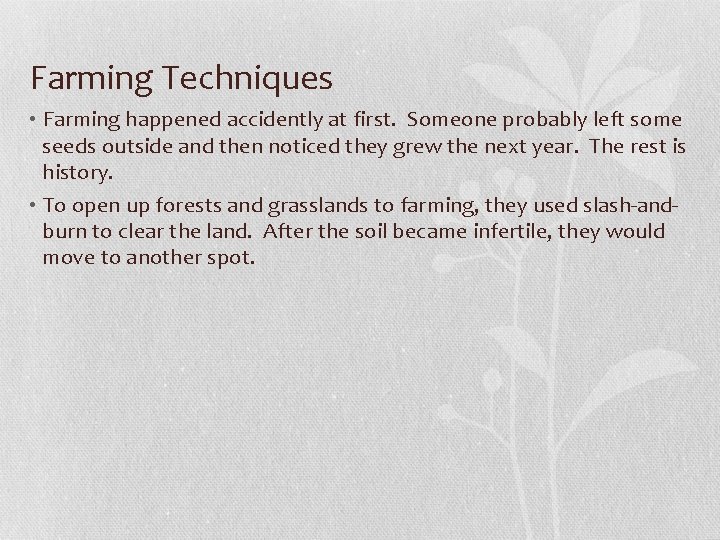 Farming Techniques • Farming happened accidently at first. Someone probably left some seeds outside