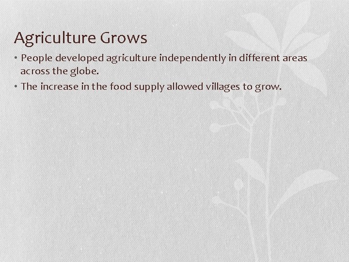 Agriculture Grows • People developed agriculture independently in different areas across the globe. •