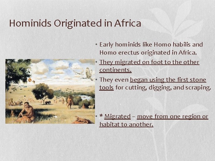 Hominids Originated in Africa • Early hominids like Homo habilis and Homo erectus originated