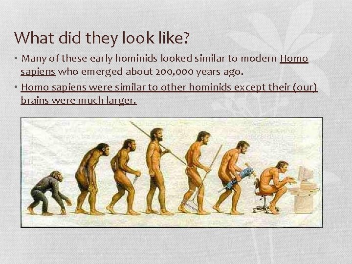 What did they look like? • Many of these early hominids looked similar to