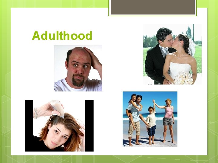 Human development Introduction This exposition talk about human