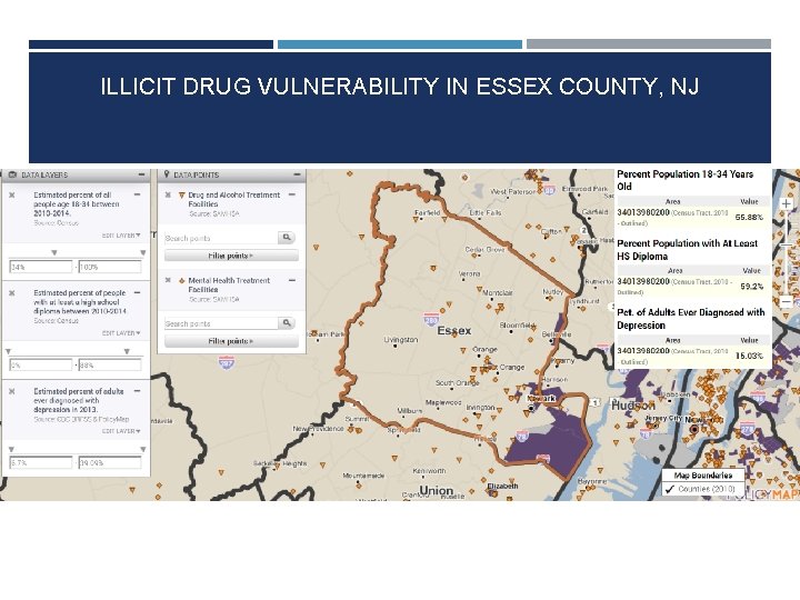 ILLICIT DRUG VULNERABILITY IN ESSEX COUNTY, NJ ILLICIT DRUG VULNERABILITY IN ESSEX COUNTY, NJ