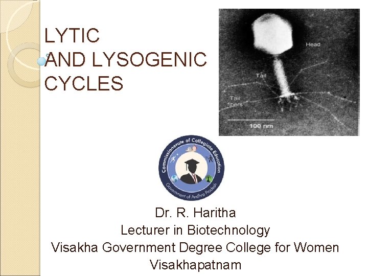 LYTIC AND LYSOGENIC CYCLES Dr. R. Haritha Lecturer in Biotechnology Visakha Government Degree College