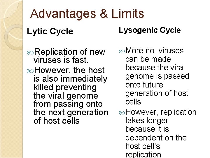 Advantages & Limits Lytic Cycle Lysogenic Cycle Replication More of new viruses is fast.
