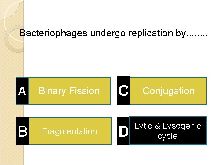 Bacteriophages undergo replication by. . . . A B Binary Fission Fragmentation C Conjugation