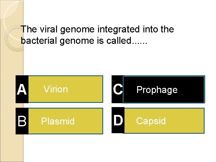 The viral genome integrated into the bacterial genome is called. . . A Virion