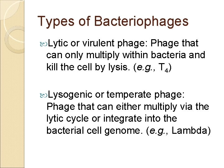 Types of Bacteriophages Lytic or virulent phage: Phage that can only multiply within bacteria