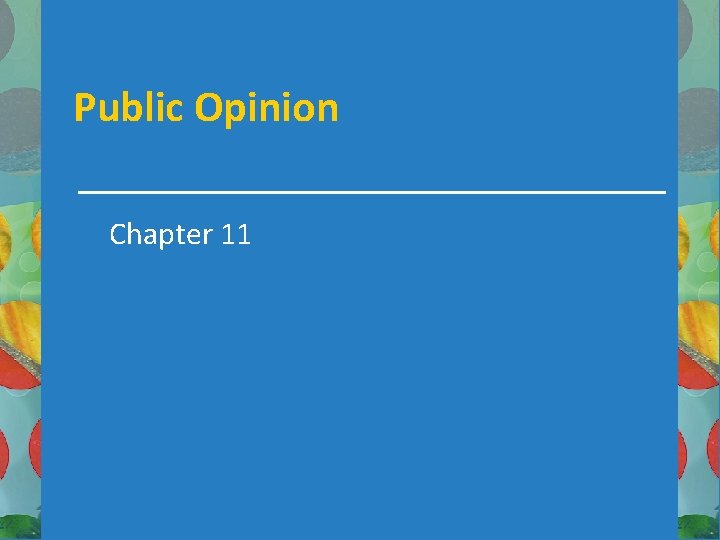 Public Opinion Chapter 11 