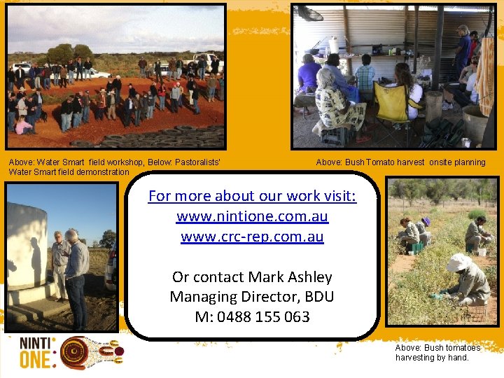 Above: Water Smart field workshop, Below: Pastoralists’ Water Smart field demonstration Above: Bush Tomato