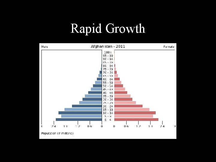 Rapid Growth 