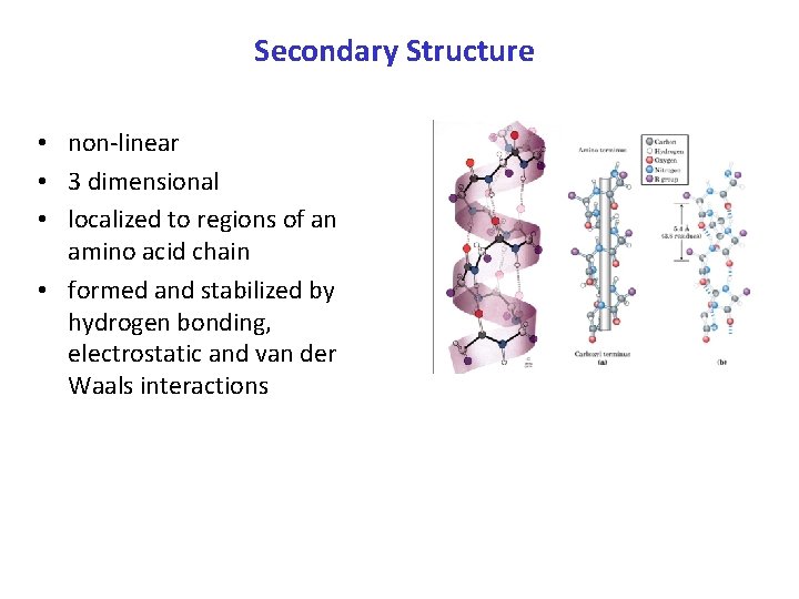 Secondary Structure • non-linear • 3 dimensional • localized to regions of an amino