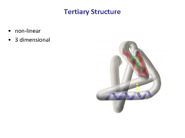 Tertiary Structure • non-linear • 3 dimensional 