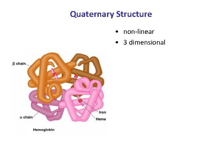 Quaternary Structure • non-linear • 3 dimensional 