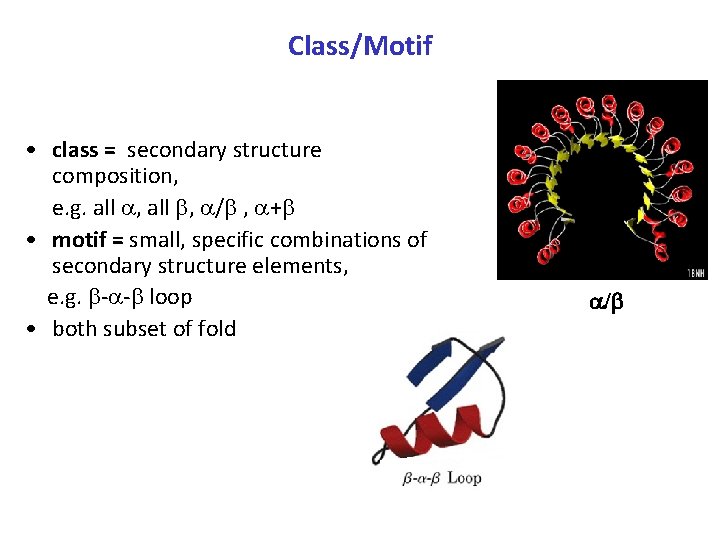 Class/Motif • class = secondary structure composition, e. g. all , / , +