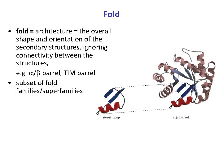 Fold • fold = architecture = the overall shape and orientation of the secondary