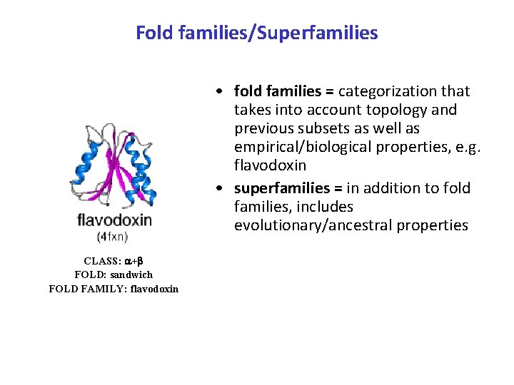 Fold families/Superfamilies • fold families = categorization that takes into account topology and previous