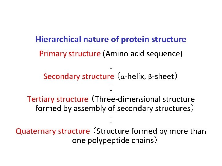 Hierarchical nature of protein structure Primary structure (Amino acid sequence) ↓ Secondary structure （α-helix,