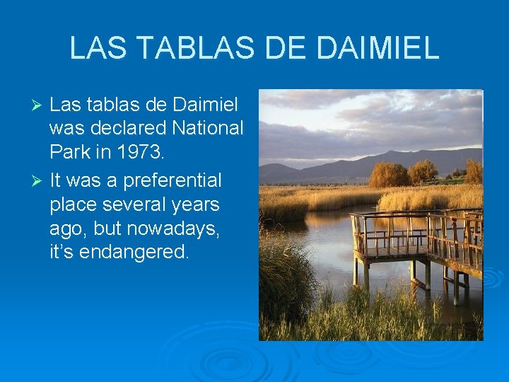 LAS TABLAS DE DAIMIEL Las tablas de Daimiel was declared National Park in 1973.