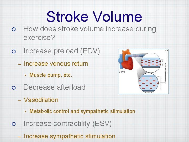 Stroke Volume How does stroke volume increase during exercise? Increase preload (EDV) – Increase