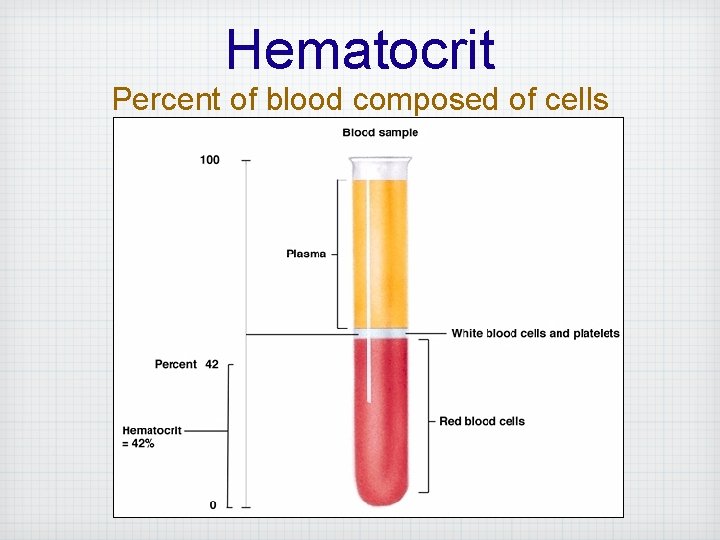 Hematocrit Percent of blood composed of cells 