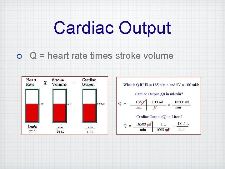 Cardiac Output Q = heart rate times stroke volume 