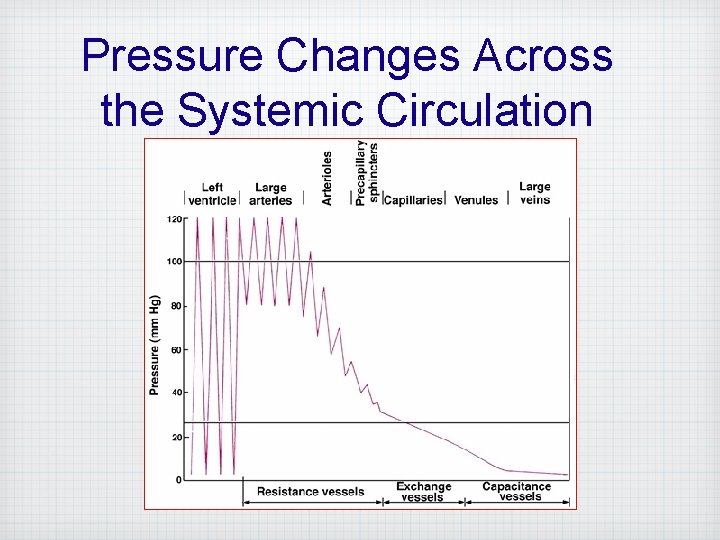 Pressure Changes Across the Systemic Circulation 