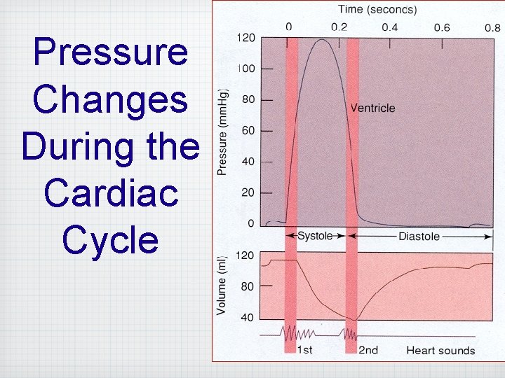 Pressure Changes During the Cardiac Cycle 