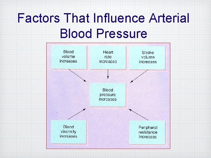 Factors That Influence Arterial Blood Pressure 