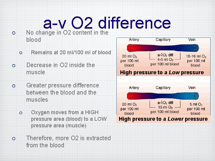 a-v O 2 difference No change in O 2 content in the blood Remains