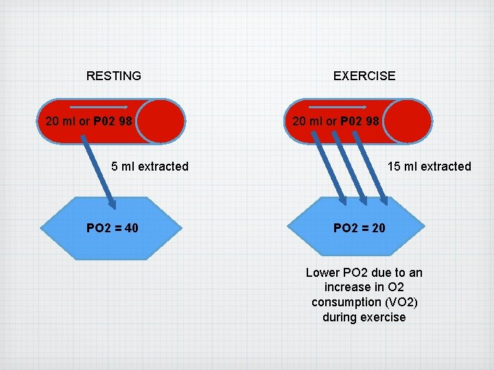 RESTING 20 ml or P 02 98 EXERCISE 20 ml or P 02 98