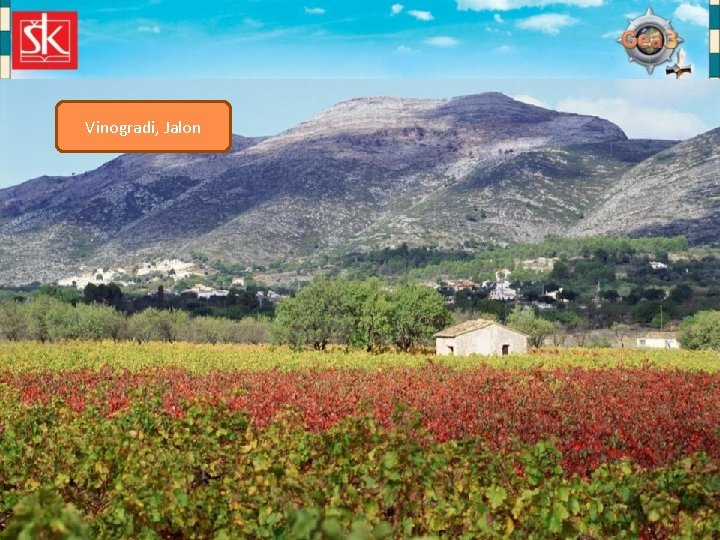 Maslinik Vinogradi, - Andaluzija Jalon Huerte - voćnjaci, vrtovi 