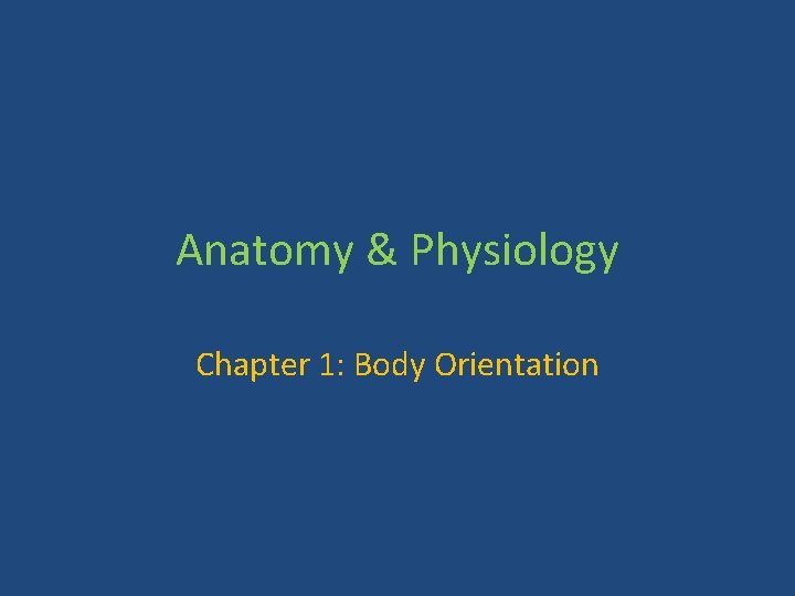 Anatomy & Physiology Chapter 1: Body Orientation 