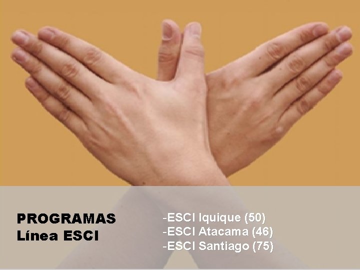 PROGRAMAS Línea ESCI -ESCI Iquique (50) -ESCI Atacama (46) -ESCI Santiago (75) 