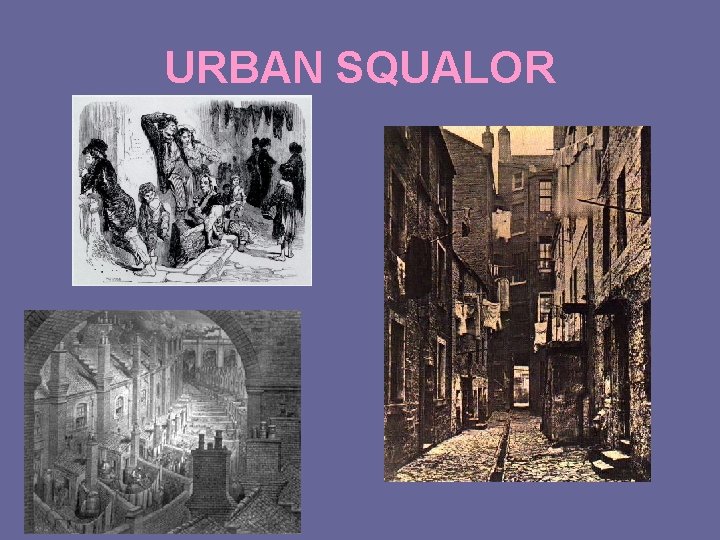 URBAN SQUALOR 