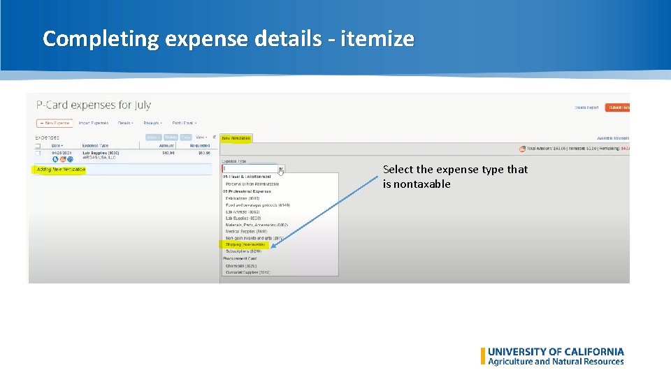 Completing expense details - itemize Select the expense type that is nontaxable 