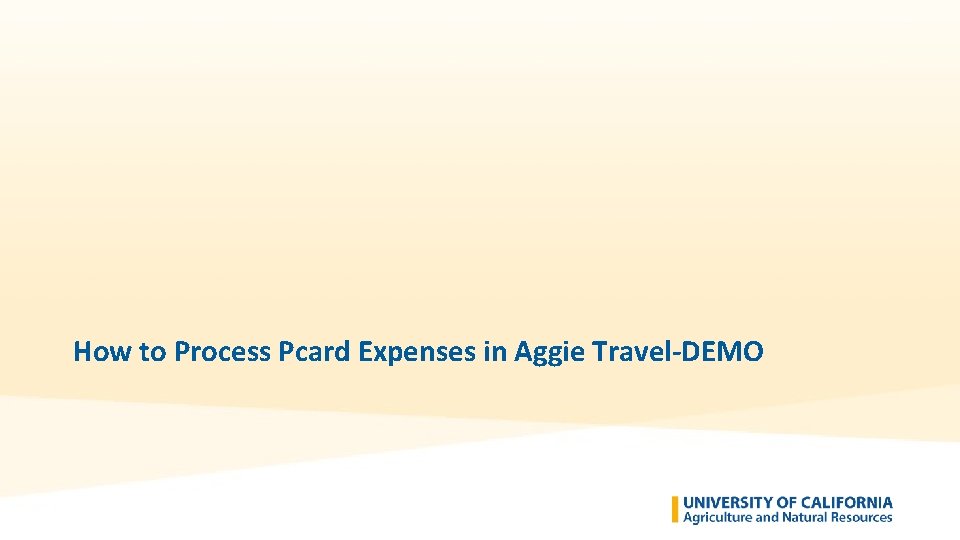 How to Process Pcard Expenses in Aggie Travel-DEMO 