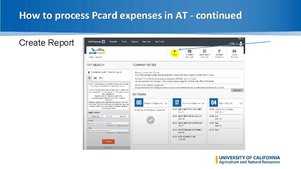 How to process Pcard expenses in AT - continued Create Report 