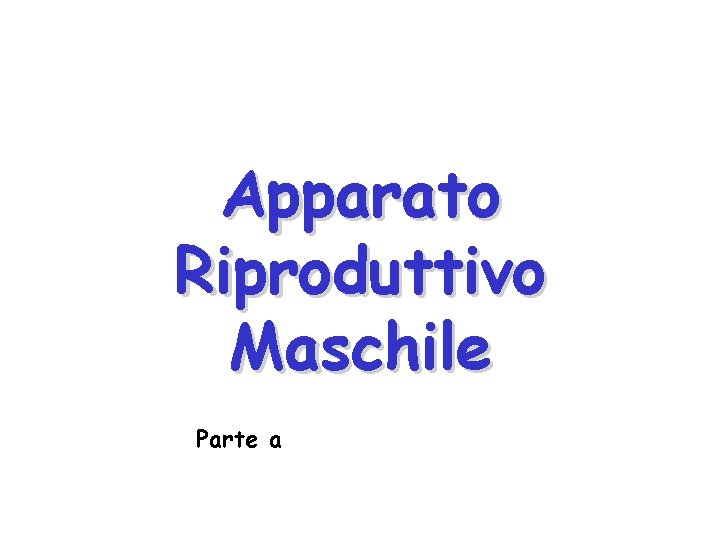 Apparato Riproduttivo Maschile Parte a 