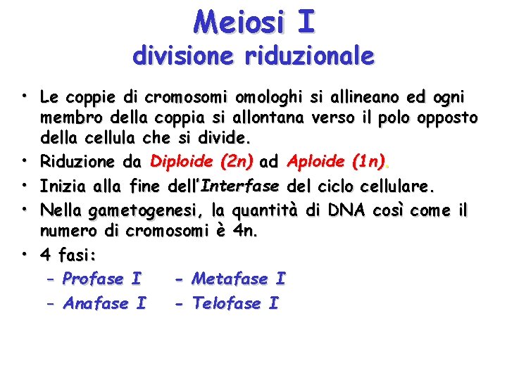 Meiosi I divisione riduzionale • Le coppie di cromosomi omologhi si allineano ed ogni