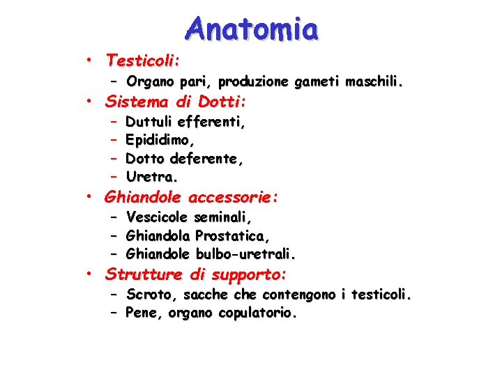  • Testicoli: Anatomia – Organo pari, produzione gameti maschili. • Sistema di Dotti:
