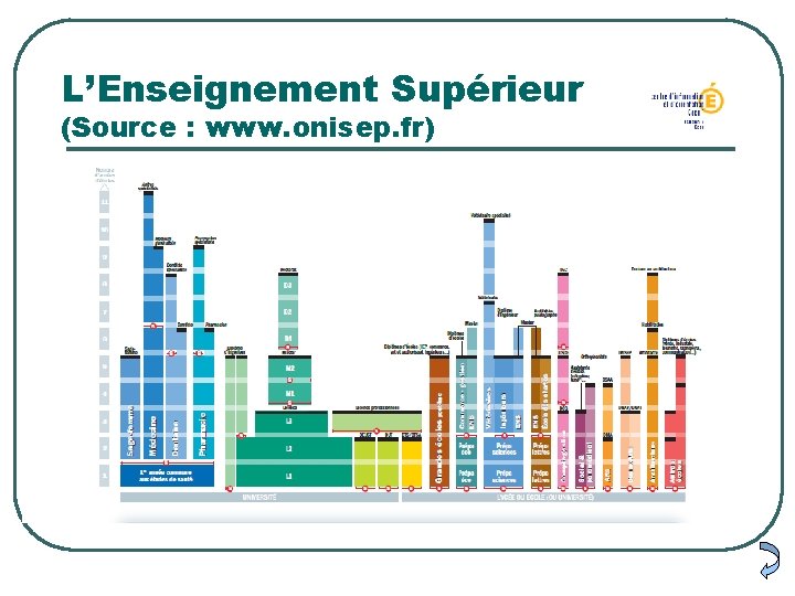 L’Enseignement Supérieur (Source : www. onisep. fr) 