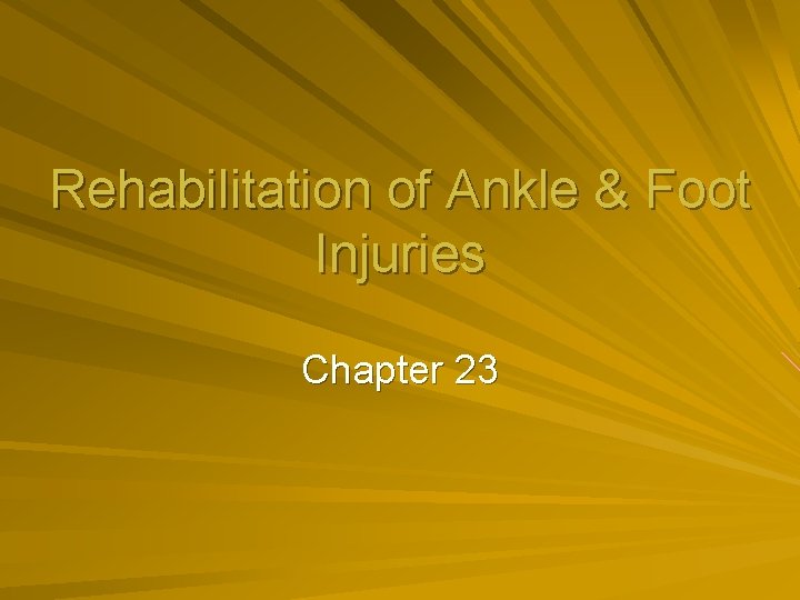 Rehabilitation of Ankle Foot Injuries Chapter 23 Functional