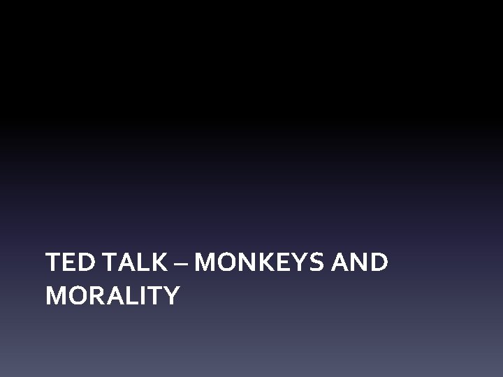 TED TALK – MONKEYS AND MORALITY 
