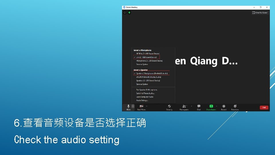 6. 查看音频设备是否选择正确 Check the audio setting 