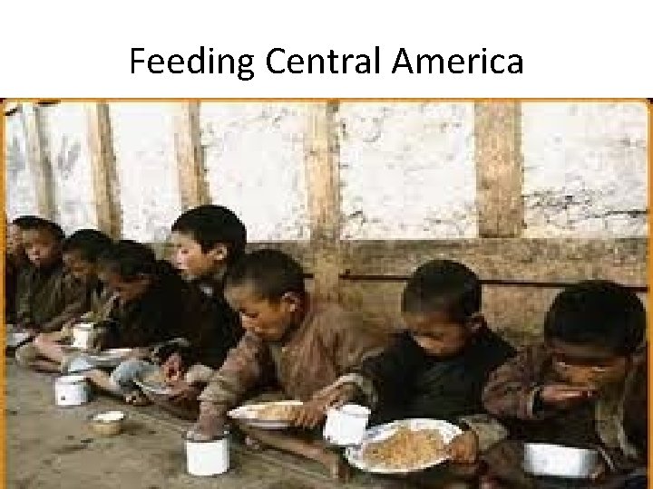 Feeding Central America 